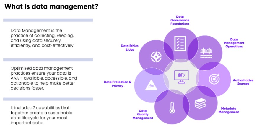 Data Management 